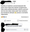 Pieski