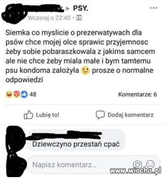 Pieski