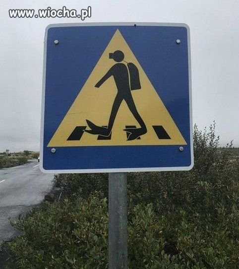 Tak.