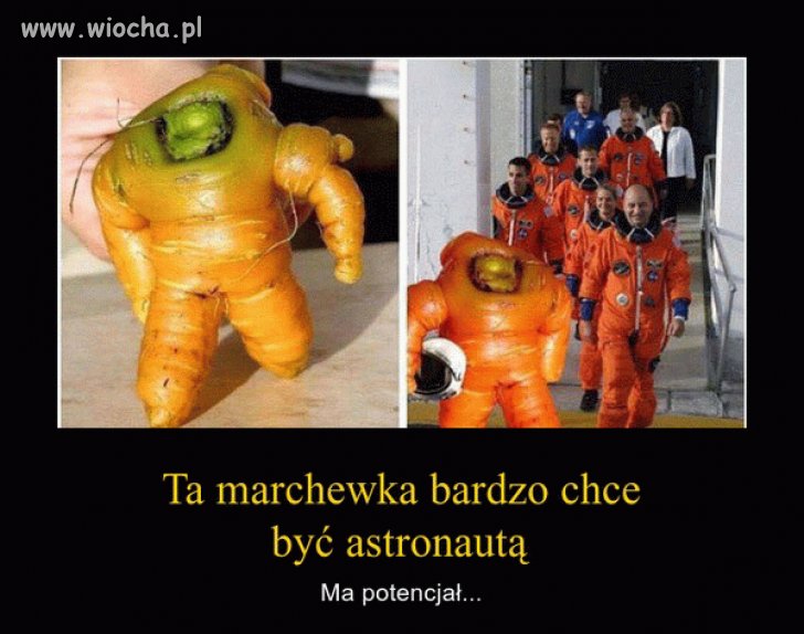 NASA już zaciera ręce
