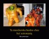 NASA już zaciera ręce