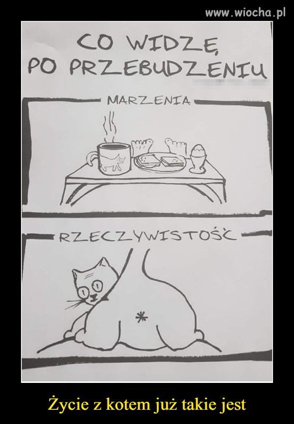 Wykradzione z tajemnego pamiętniczka prezesa ...