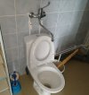 Polak potrafi