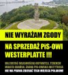 Teraz kupujemy Westerplatte
