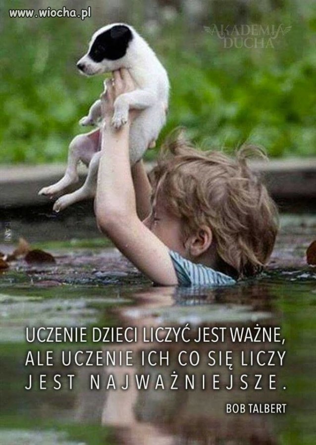 I tego dzisiaj brakuje