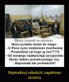 Najlepszy przyjaciel