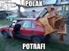 Tylko w Polsce 