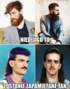 Coś w tym jest