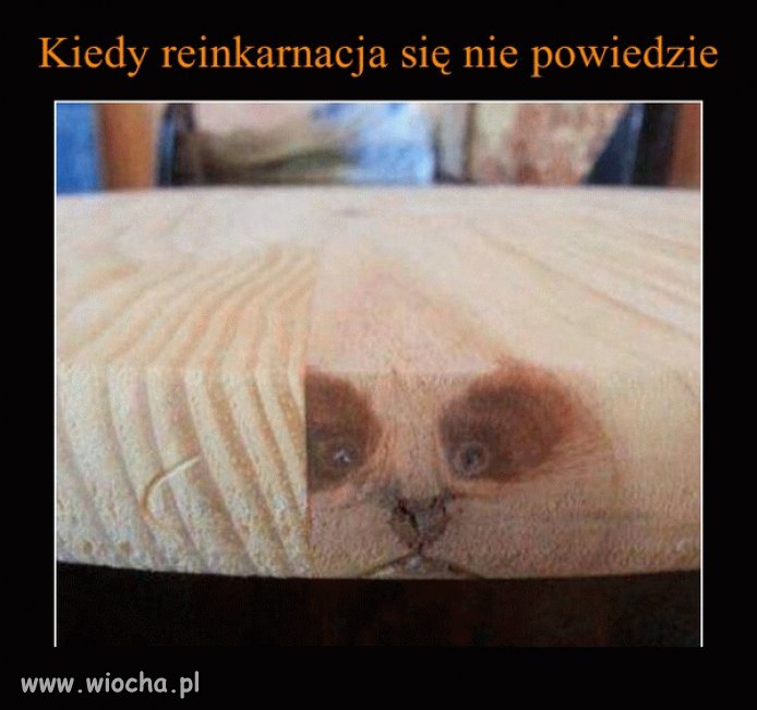 Coś poszło nie tak