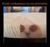 Coś poszło nie tak