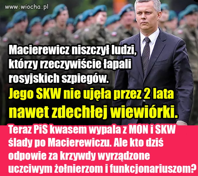 Nawet zdechłej wiewiórki
