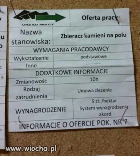 Oferta pracy.