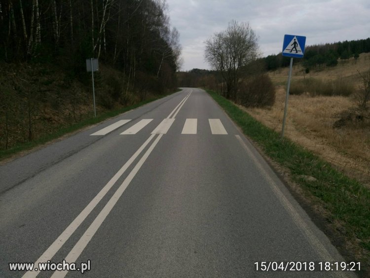 Gdy Twój szwagier robi przejścia dla pieszych