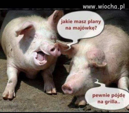 Czas zacząć