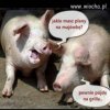 Czas zacząć
