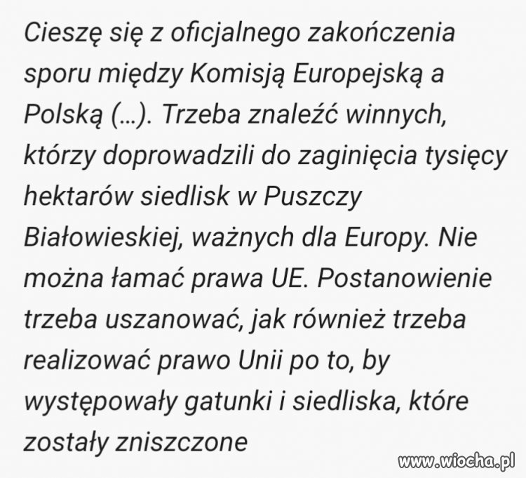 Wycinka puszczy nielegalna, Szyszko się cieszy...