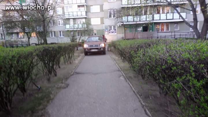 Mistrz z wawy ul Bolesławicka 