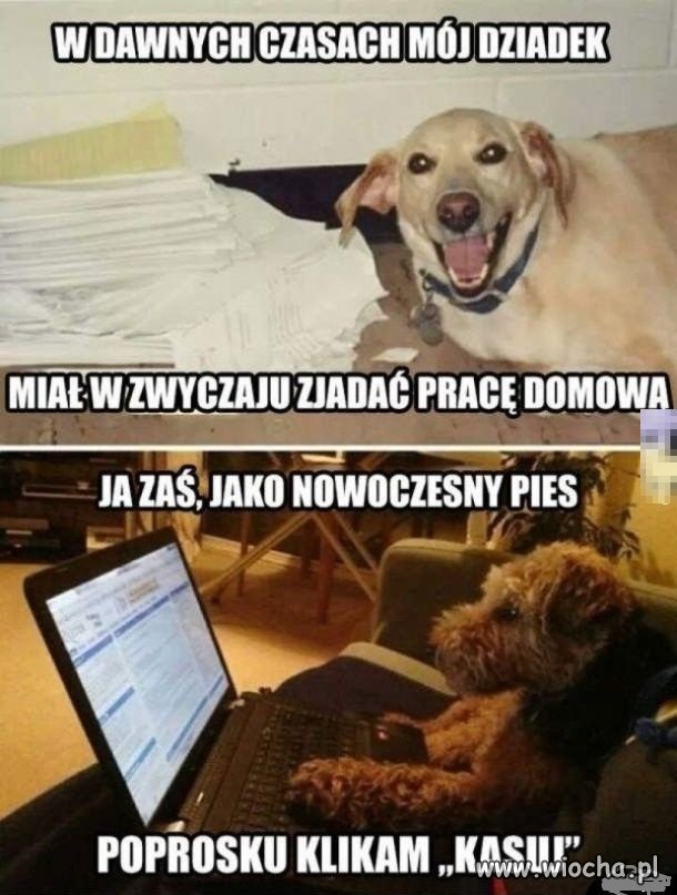 Postępowy