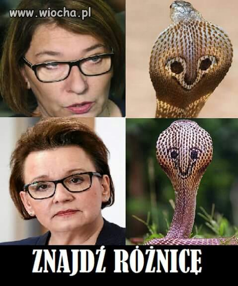 Podobne.