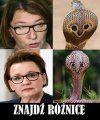 Podobne.