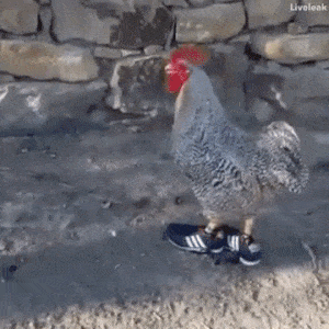 Gdy kupię nowe buty 