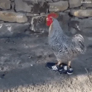 Gdy kupię nowe buty 