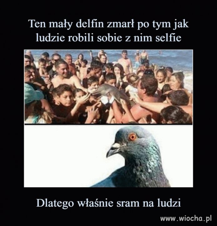 I wszystko jasne