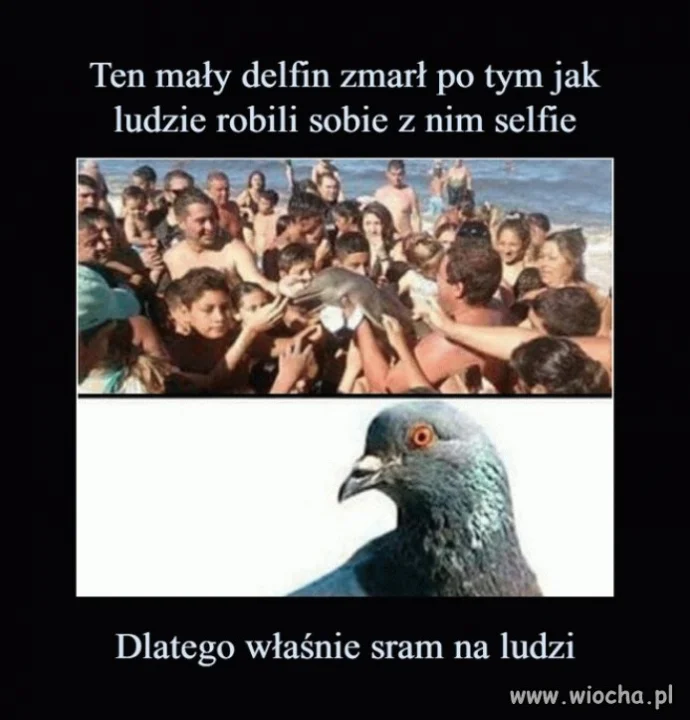 I wszystko jasne
