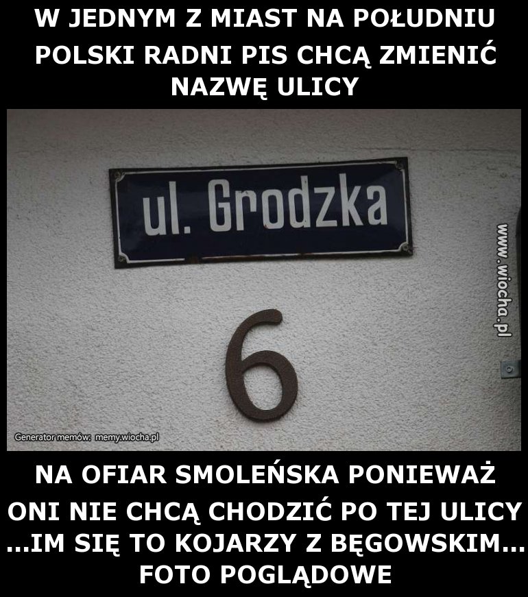 W JEDNYM Z MIAST NA POŁUDNIU POLSKI RADNI PIS CHCĄ