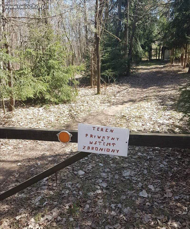 A co będzie gdy "wstompisz"? 