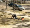 Ciekawe co palił