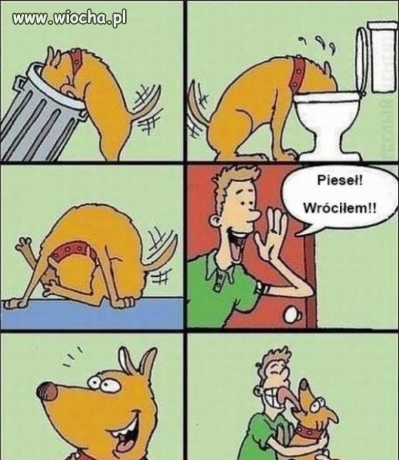 Pieseł 