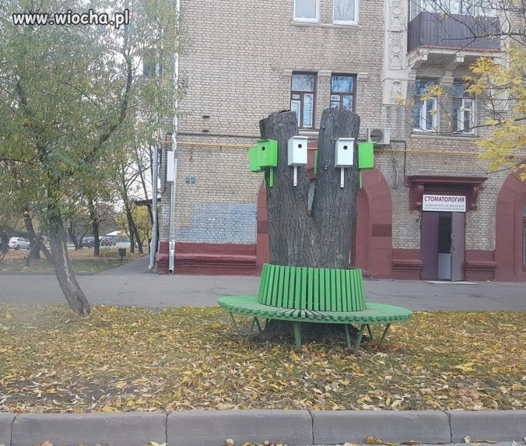 Super pomysł, zniszczyć naturalne domy