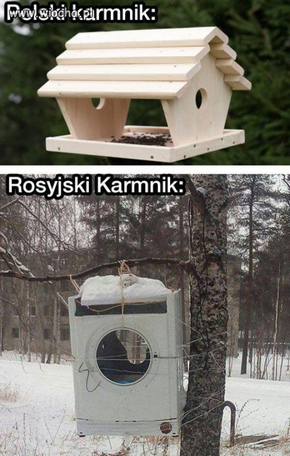 Rozmach
