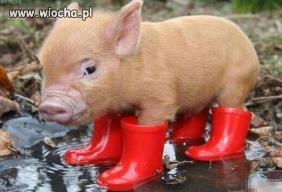Moda nie jest ważna, ważne jest, aby czuć się komfortowo.