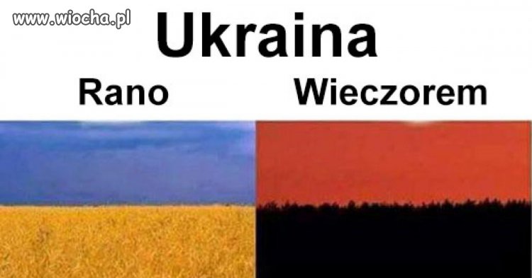 Cała prawda
