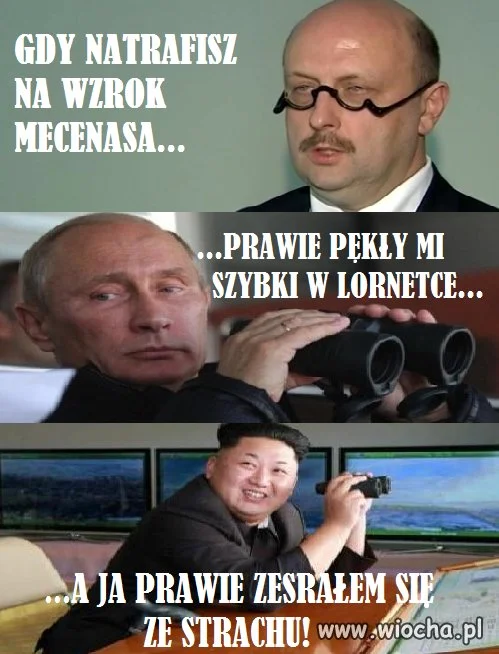 Mecenasa wzrok