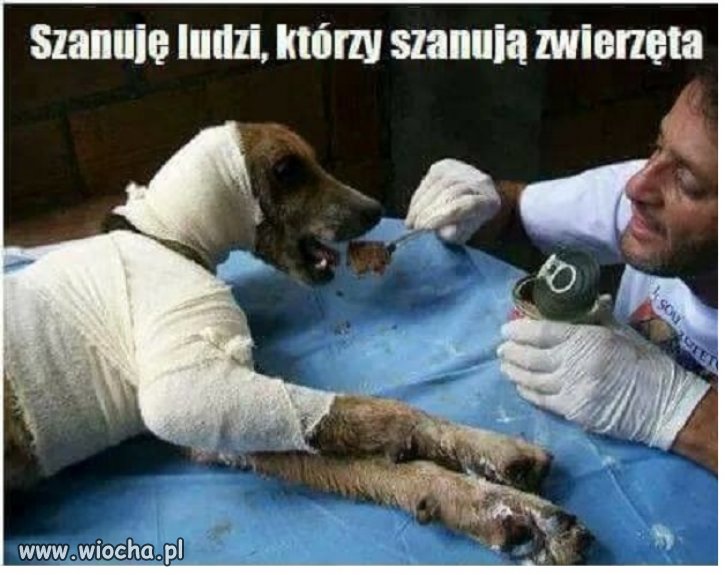 Coś innego niż polityka