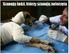 Coś innego niż polityka