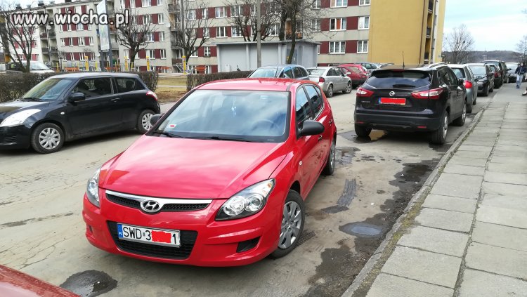 Uczyli zdać egzamin, ale nie parkować.