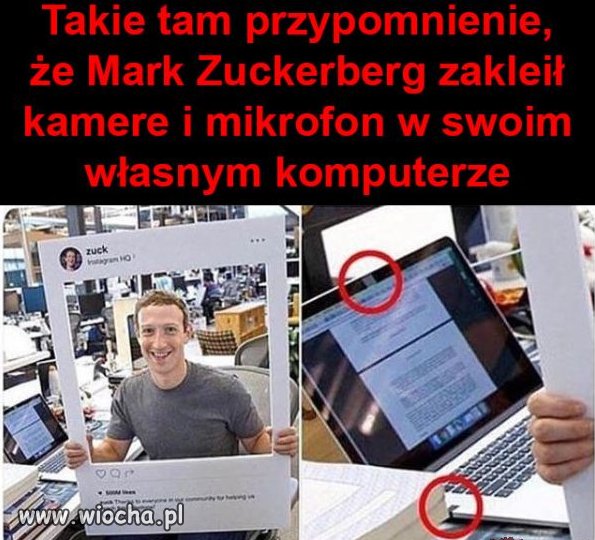 Taka ciekawostka