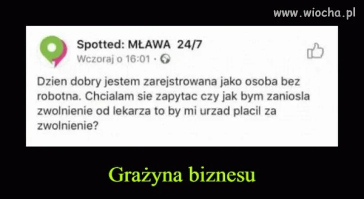 Grażyna biznesu