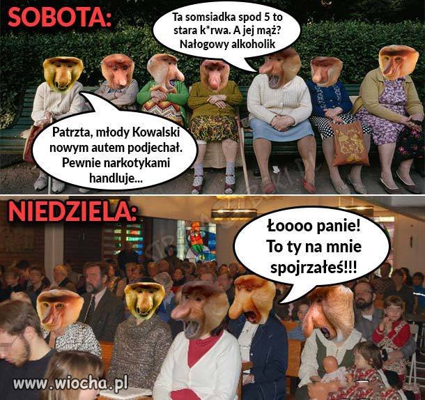 Katolicyzm 