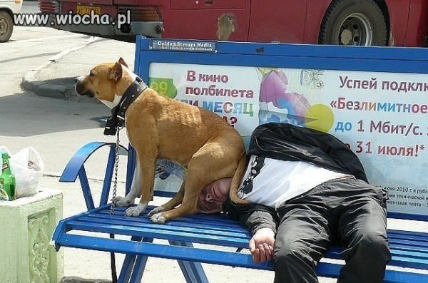 Piątek z Pankracym