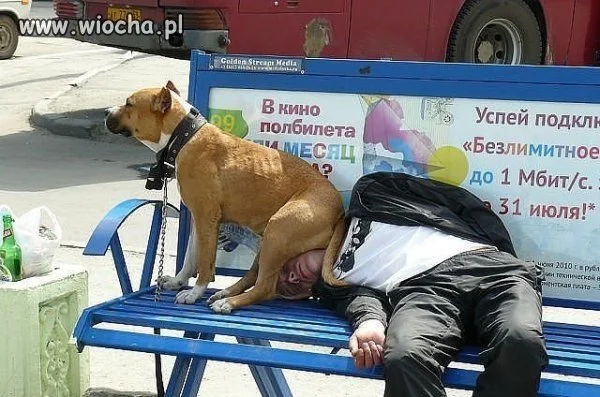 Piątek z Pankracym