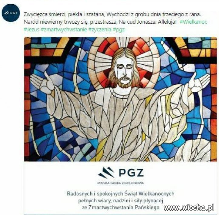 Co oni zamierzają?