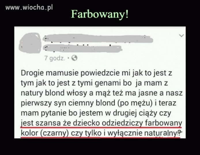 Bez komentarza