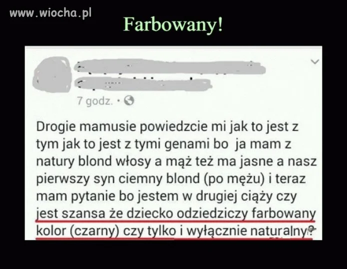 Bez komentarza