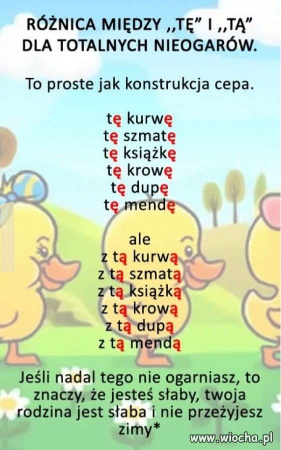 Z samouczka wiochy
