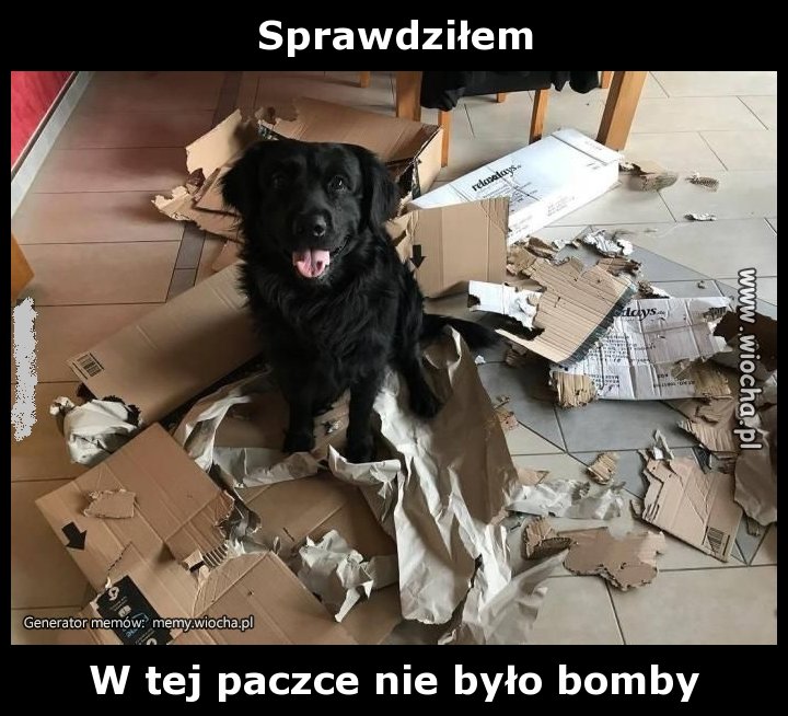 Sprawdziłem